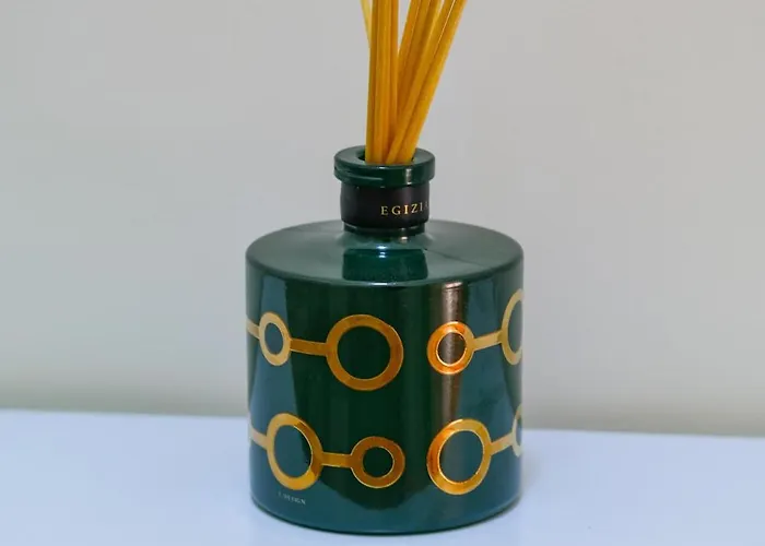 Domus Lilium דירה רומא